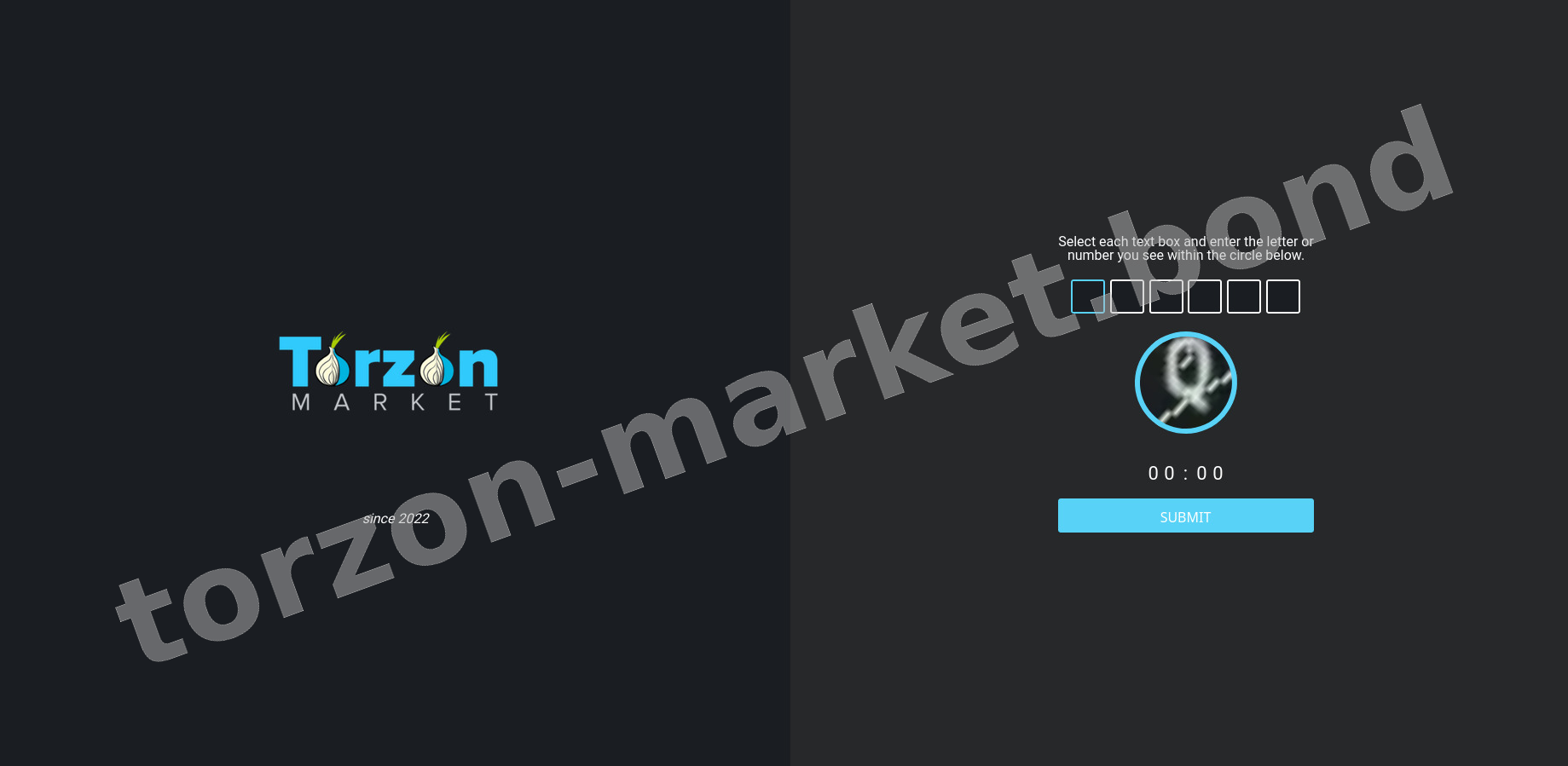 DDoS Protection Screen